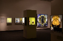 Wasp_exhibition__DSC3409